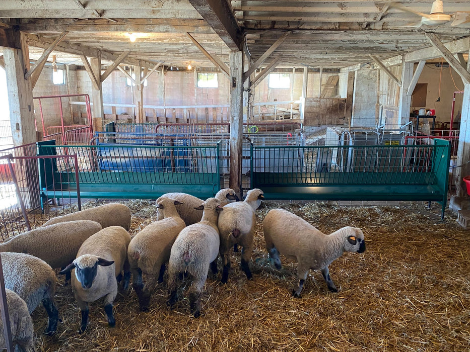 Adjustable Goat Fence Line Feeder Designed for Smooth Feed Flow