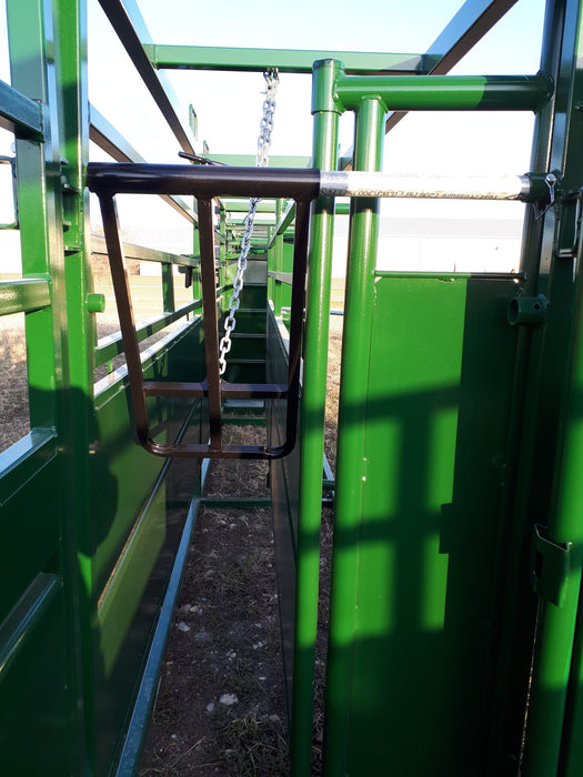 Rancher guiding cattle through Lakeland Adjustable Cattle Alley connected to a squeeze chute system