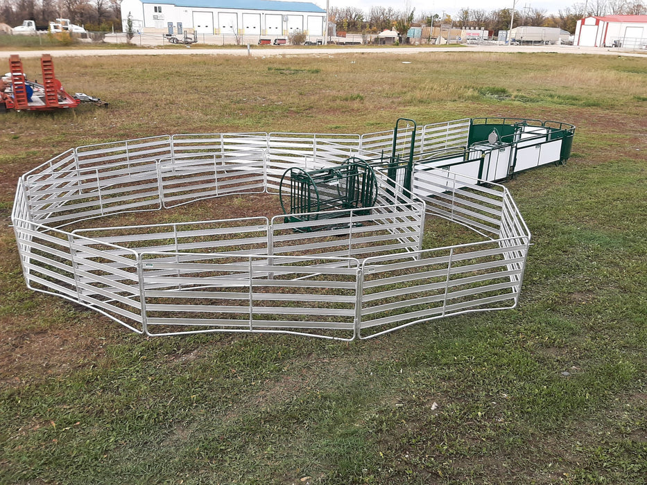 Heavy-Duty Sheep Handling System with Adjustable Gates and Secure Alley Design
