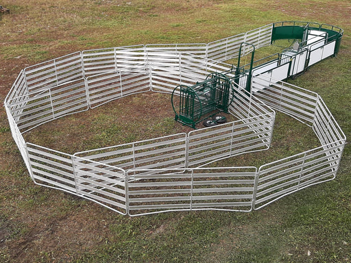 SG300 Sheep Handling System for Efficient Herd Control and Safe Livestock Management