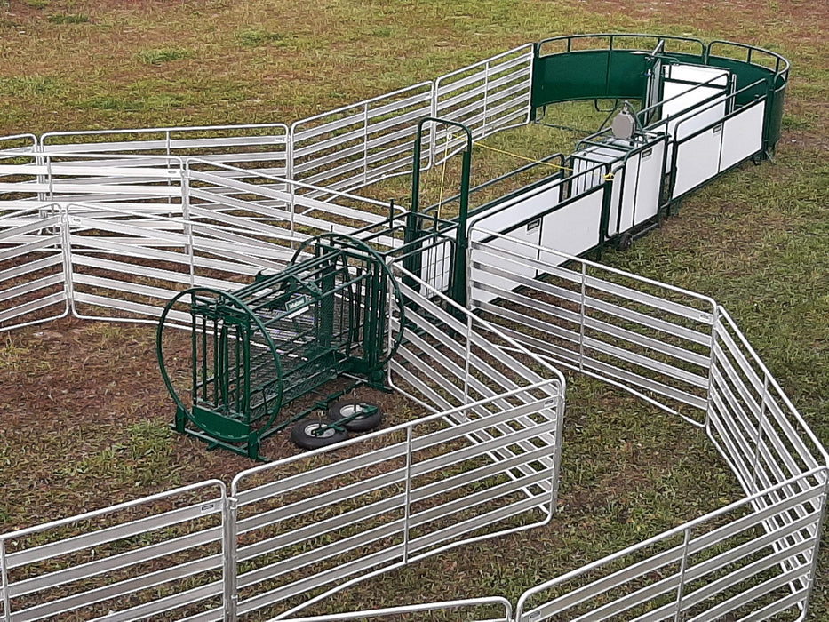 Portable Sheep Handling System Ideal for Sorting, Treating, and Managing Goats or Sheep