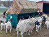 Premium Square Bale Feeder for Sheep and Goats – Reduces Feed Waste and Mess