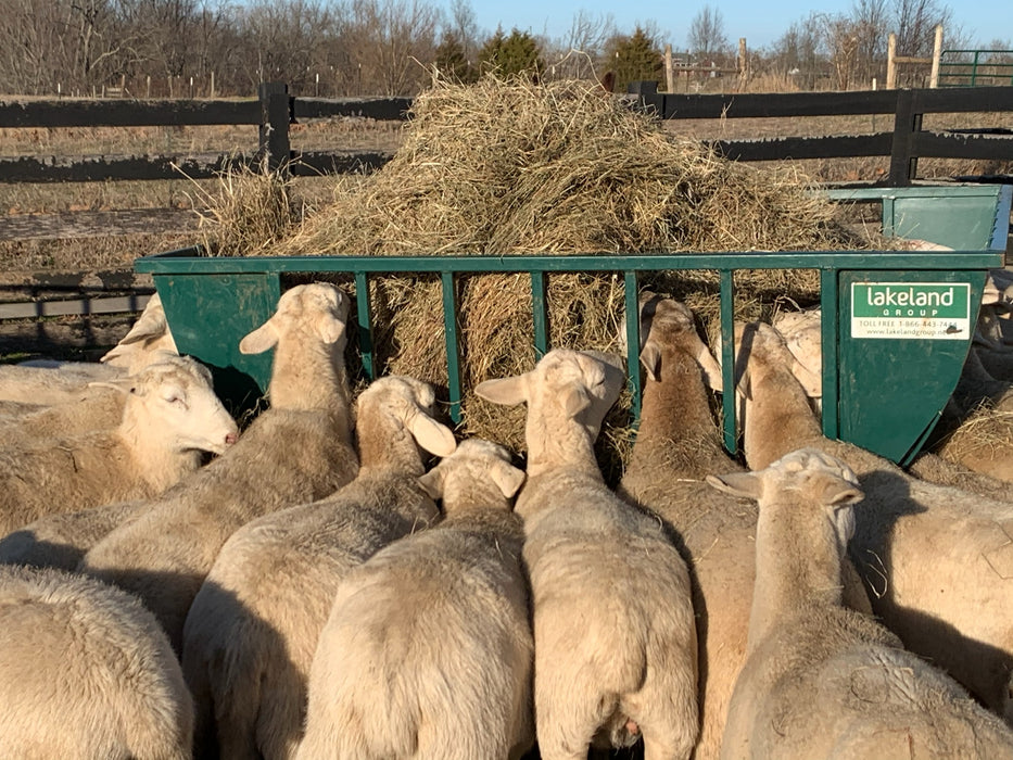 Weather-Resistant Sheep Hay Feeder with Elevated Basket to Reduce Waste