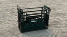 Heavy-duty cattle squeeze chute featuring adjustable sides and secure locking system for easy operation
