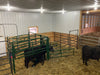 Premium C-Series Calving Pens arranged in half-circle configuration to guide livestock naturally