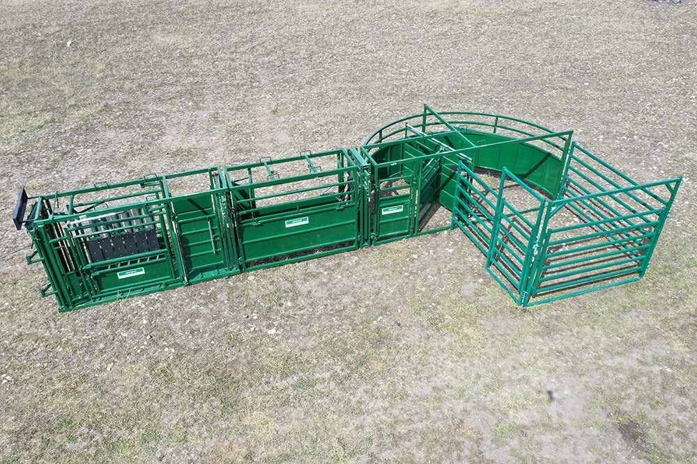 Lakeland C1000 modular Cattle Handling System – smart configuration for efficient and stress-free cattle handling