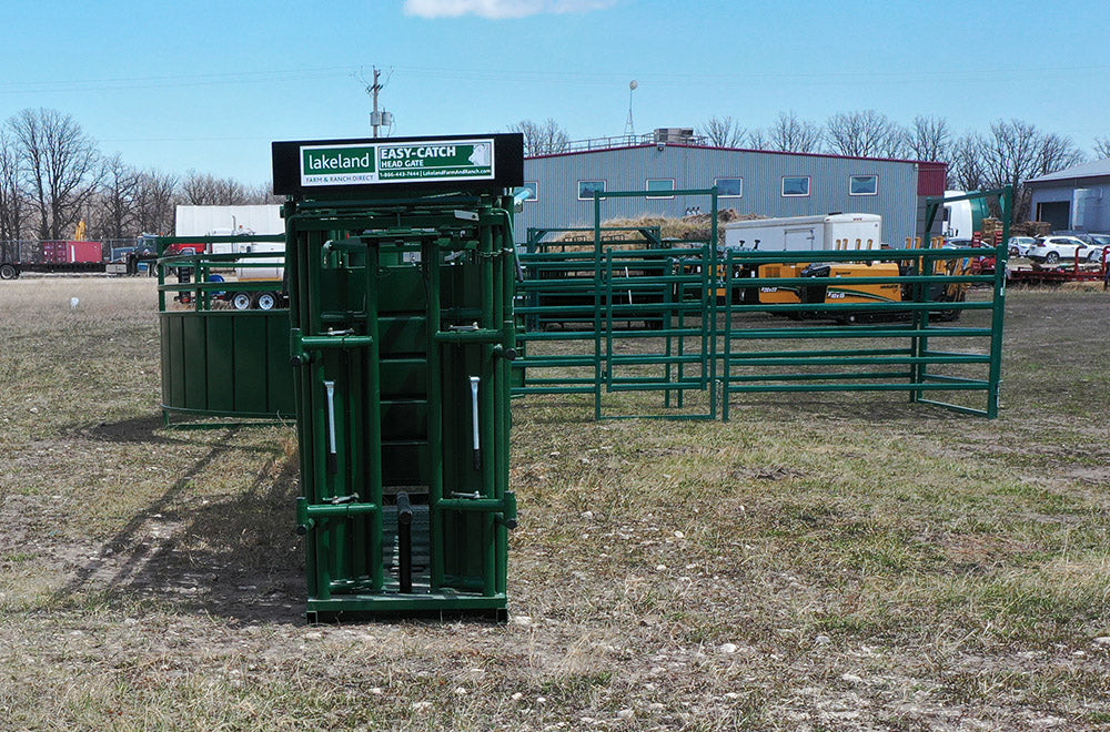 C2000 Cattle Handling System by Lakeland – durable steel construction designed for efficiency and livestock safety