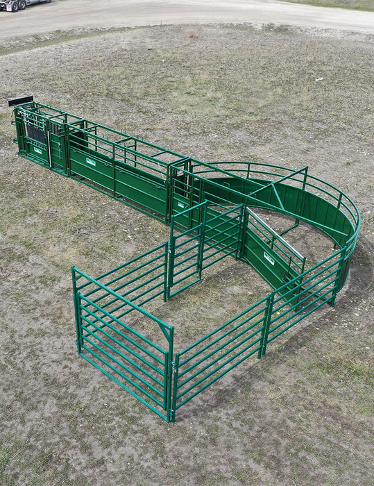 Professional Cattle Handling System – Lakeland C2000 providing full control from crowding tub to head gate