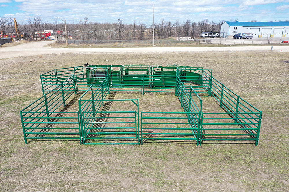 C3000 Cattle Handling System – high-capacity livestock equipment built for modern farm operations