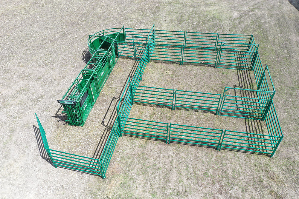 Lakeland C3000 modular Cattle Handling System – advanced setup for maximum control and operator safety