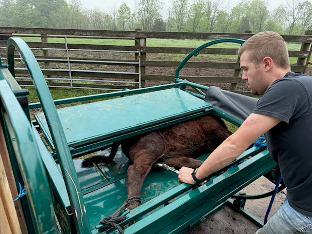 Close-up of latch and handle system on Lakeland Premium Calf Table for easy control