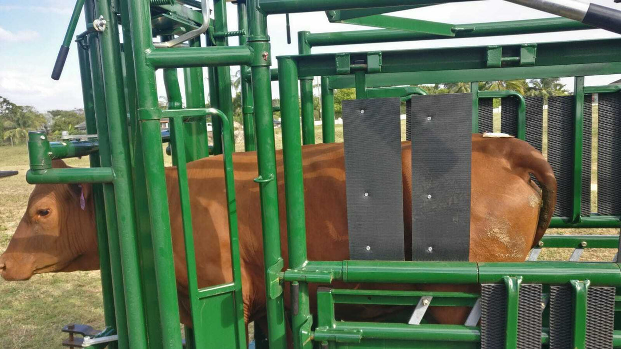 Lakeland Cattle Squeeze Chute in use on a modern cattle ranch for safe animal handling
