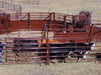 Side view of HiQual Crowding Alley showing curved, smooth panels designed to improve cattle flow and safety.
