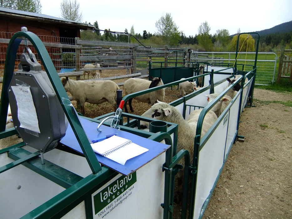 Portable modular sheep handling system with smooth crowding tub design