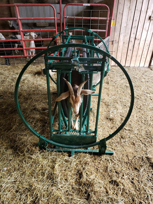 Premium Sheep Chute with Adjustable Sides for Secure Animal Positioning