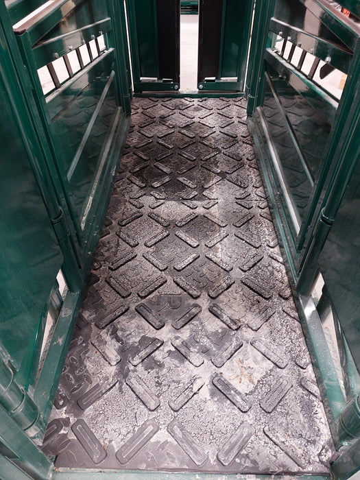 Rear view of E-Series Cattle Squeeze Chute with tailgate and safety release system