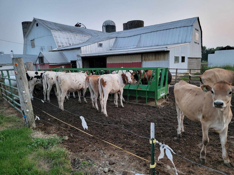 Lakeland 10-foot Steel Cattle Bunk Feeder – heavy-duty skid-mounted design for efficient and stable livestock feeding