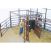 Rancher assisting a cow in the HiQual Classic Calving Pen designed for comfort, safety, and stress-free birthing.