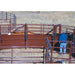HiQual Crowding Alley built with heavy-duty steel for efficient and low-stress livestock movement into the chute.