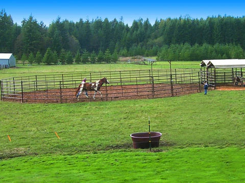 Ranch setup with HiQual 40' Round Pen providing secure, circular enclosure ideal for horse exercise and livestock handling.