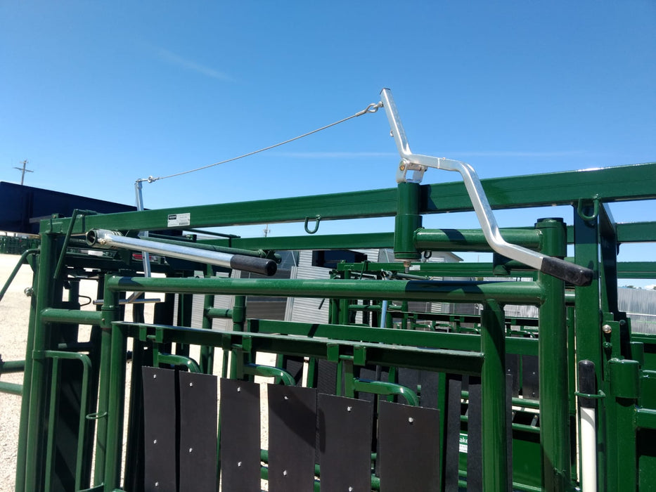 Rear view of Lakeland Premium C-Series Cattle Squeeze Chute showing tailgate and safety latches