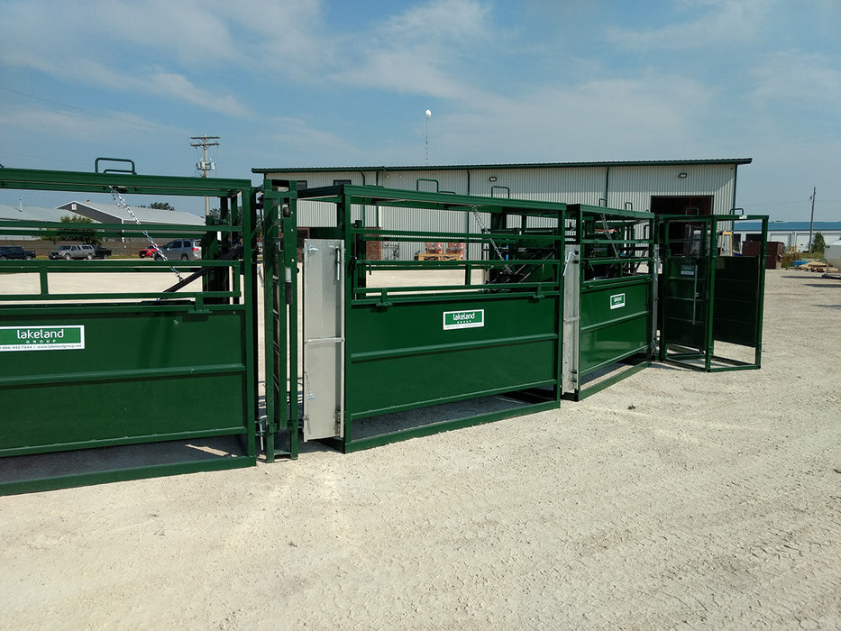 Ranch worker guiding livestock through Lakeland’s Adjustable Cattle Alley for smooth and efficient cattle flow