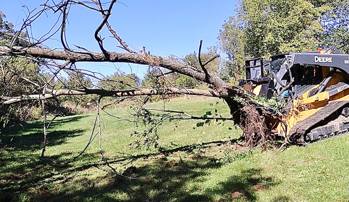 Stinger skid steer tree puller lifting uprooted trees – strong hydraulic system provides reliable performance and easy operation.