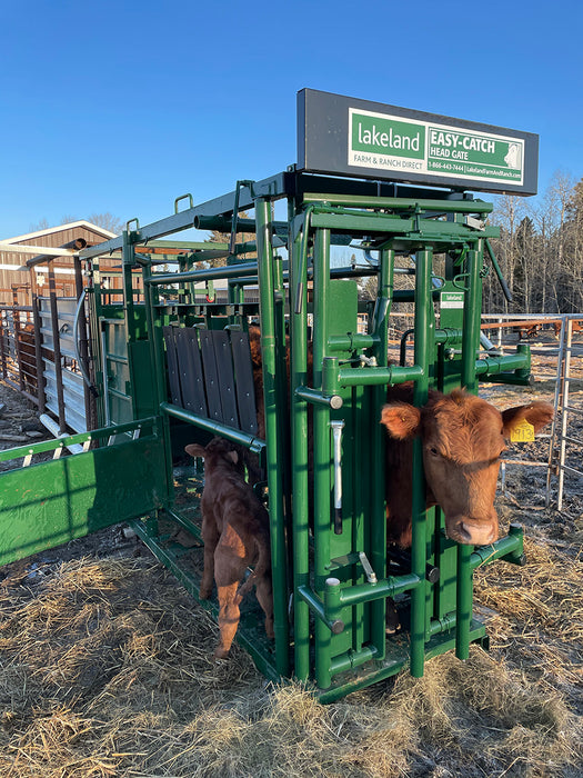 Professional-grade Cattle Squeeze Chute designed for efficient and safe livestock handling