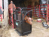 Durable steel calf chute by Lakeland – designed for efficient and stress-free calf management