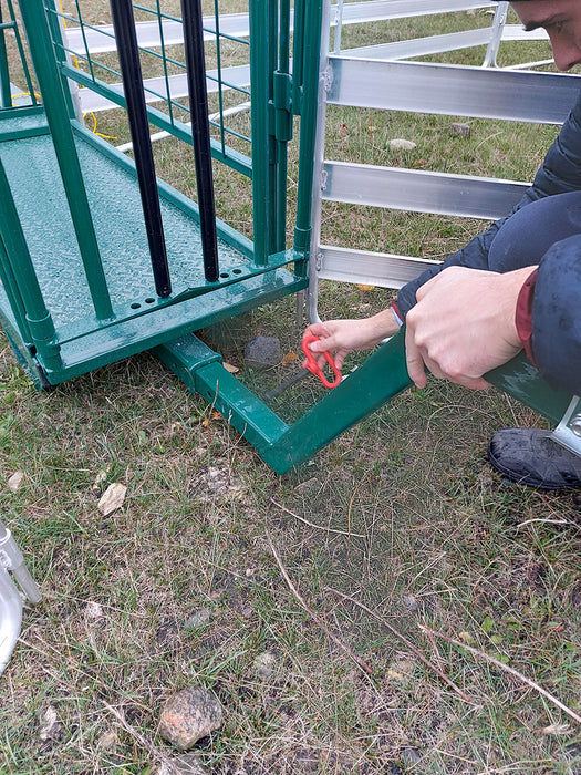 Compact Sheep Handling System for Safe Animal Movement and Reduced Stress