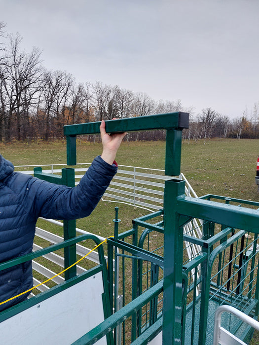 Efficient Sheep Handling System for Sorting, Drafting, and Medical Treatments