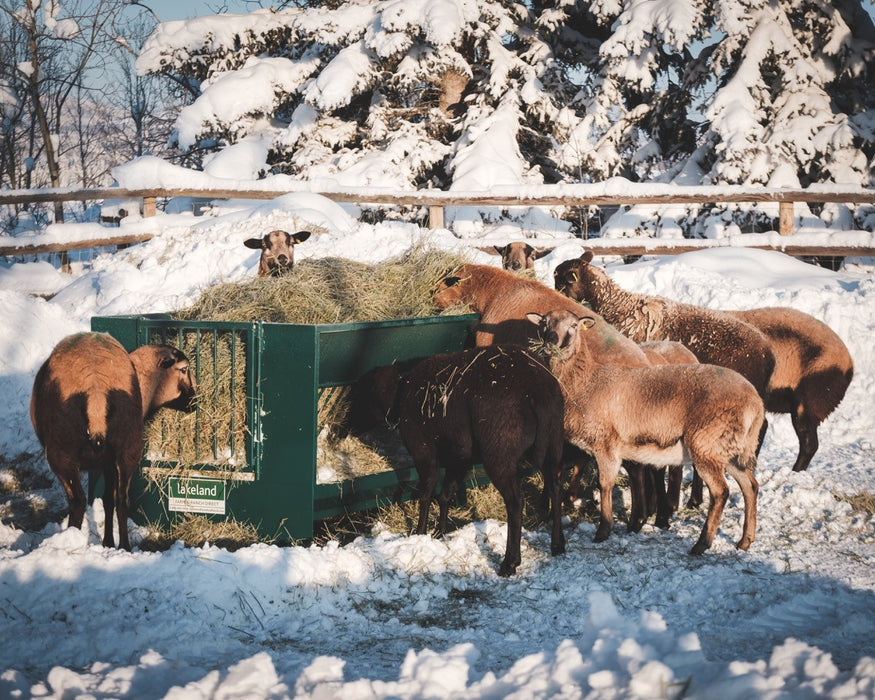 Large-capacity Sheep Hay Feeder suitable for hay and grain distribution on farms