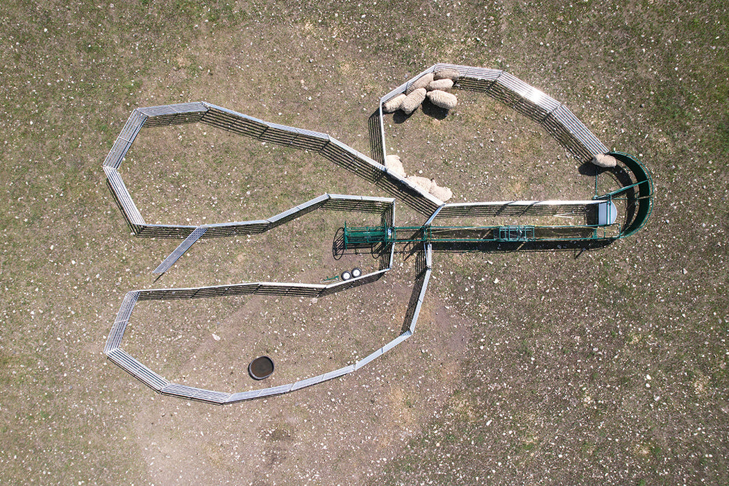 SG400 Sheep Handling System with Integrated Scale and Sorter for Efficient Livestock Management