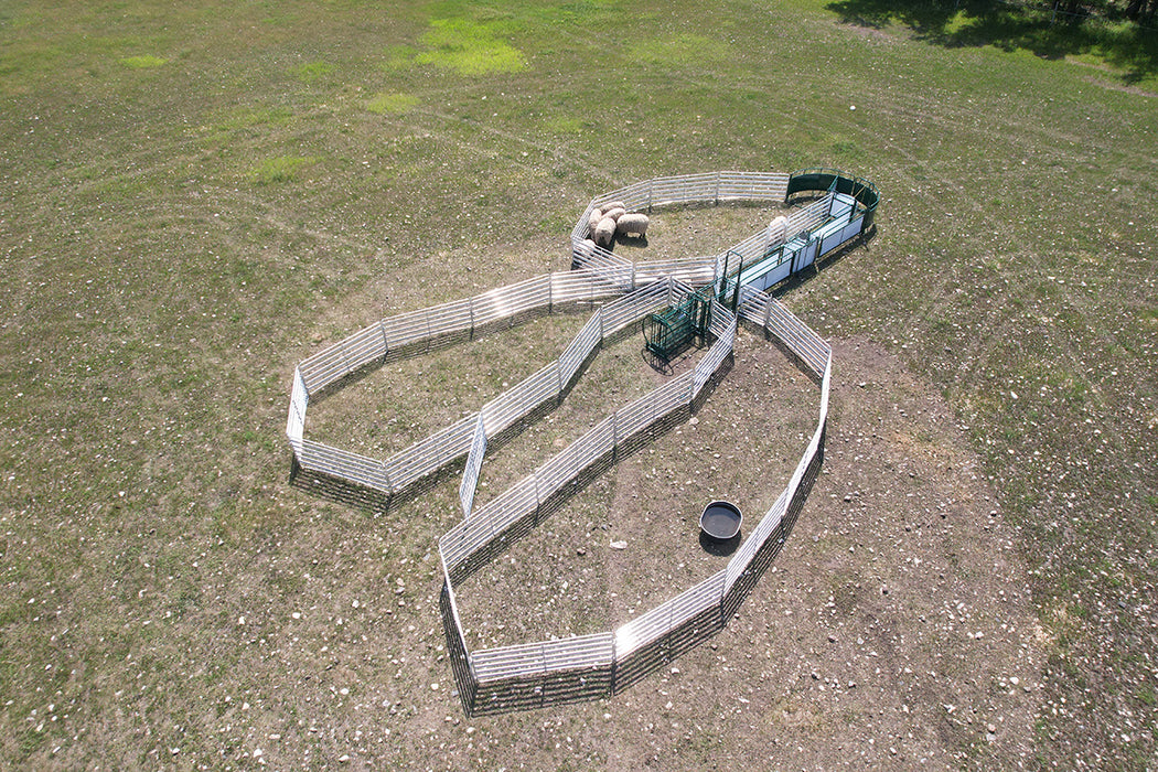 Advanced Sheep Handling System by Lakeland Featuring Built-In Weighing and Sorting Capabilities