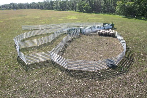 SG500 Complete Sheep Handling System with Integrated Scale for Accurate Weighing and Sorting