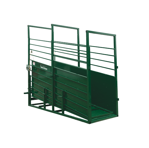 Lakeland E-Series Stationary Adjustable Cattle Loading Chute with durable steel frame and height control for safe livestock loading