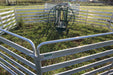Durable Steel Sheep Handling System by Lakeland for Safe and Efficient Herd Control