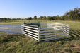 Reliable Sheep Handling System for Goats and Sheep with Secure Gate Configuration