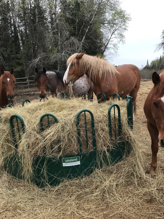 Round Bale Feeder Horse by Lakeland – strong tombstone-style construction reducing hay waste and improving access