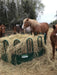 Round Bale Feeder Horse by Lakeland – strong tombstone-style construction reducing hay waste and improving access