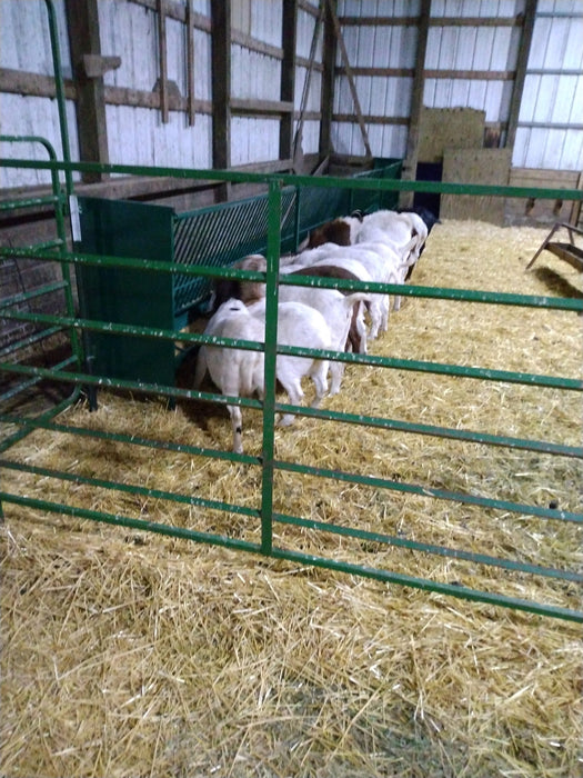 High-Capacity Sheep Fence Line Feeder Perfect for Farm and Pasture Use