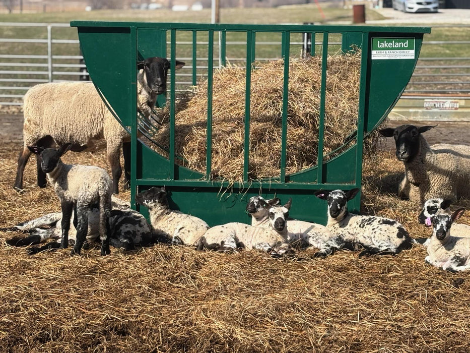 Durable steel Sheep Hay Feeder basket designed for sheep and lambs on farms
