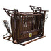 HiQual Hydraulic Calf Chute built for safe, efficient, and low-stress handling of calves during treatment and tagging.