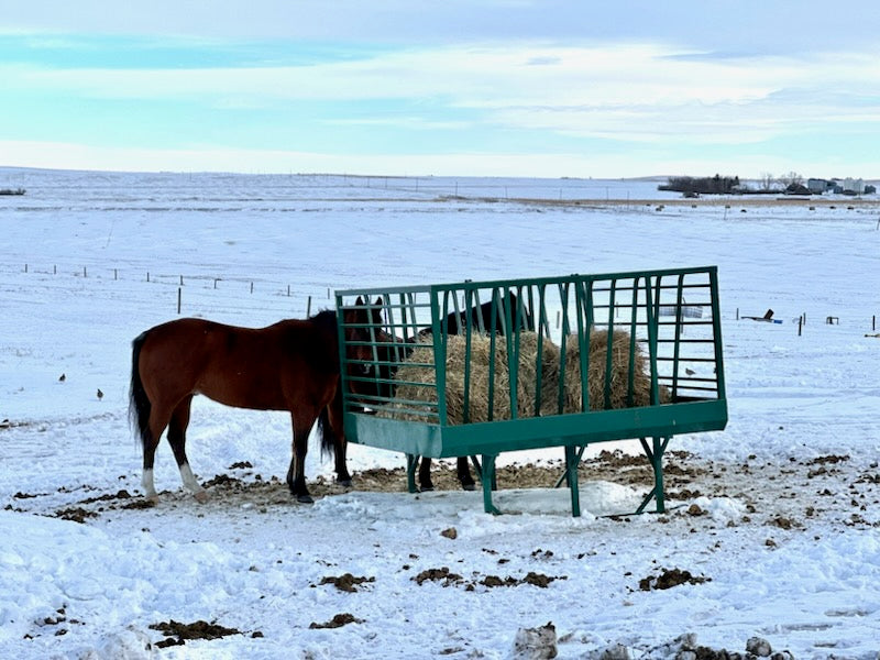 Lakeland Square Bale Horse Feeder – premium hay feeder engineered for efficiency, longevity, and horse comfort