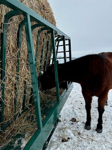 Lakeland Square Bale Horse Feeder – strong steel construction ensuring safety and durability for daily equine use