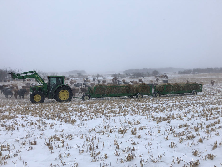 Professional Portable Feeder Wagon – durable Lakeland design for effective cattle feeding and daily farm use