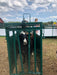 Premium Self-Catch Sheep Headgate System for Safe Livestock Management