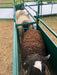 Efficient Sheep Headgate by Lakeland for Smooth Entry and Secure Handling